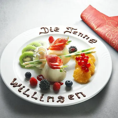 Die Tenne Hotell Willingen (Upland)