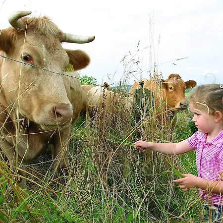 Die Tenne * ヴィリンゲン