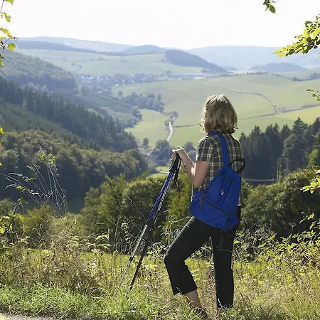 ホテル Die Tenne ヴィリンゲン