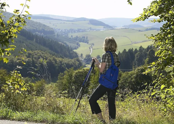 호텔 Die Tenne 빌링겐